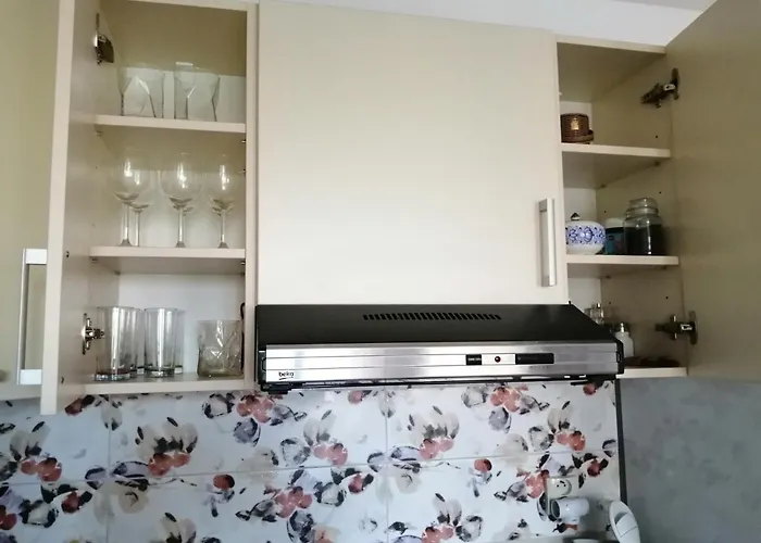 Slavik Apartment