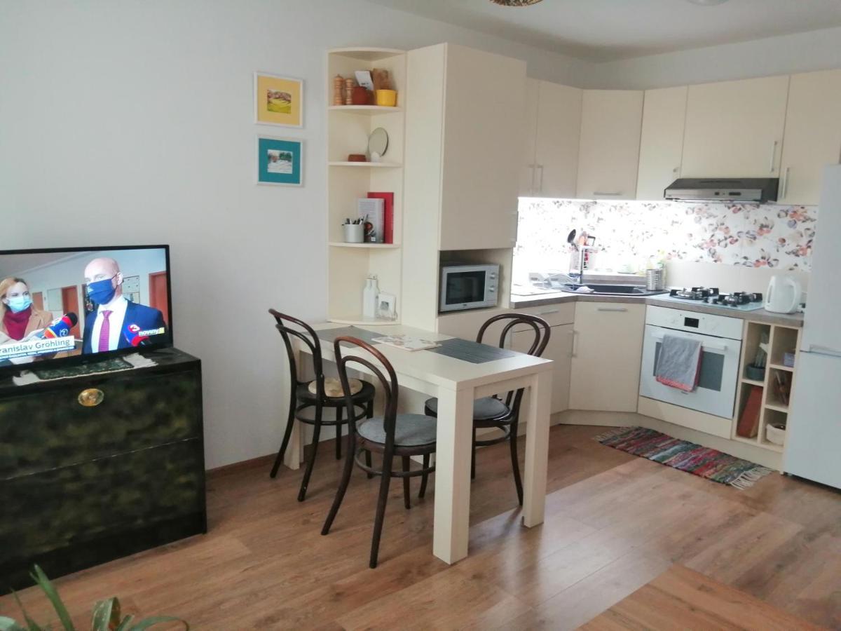 Slavik Apartment