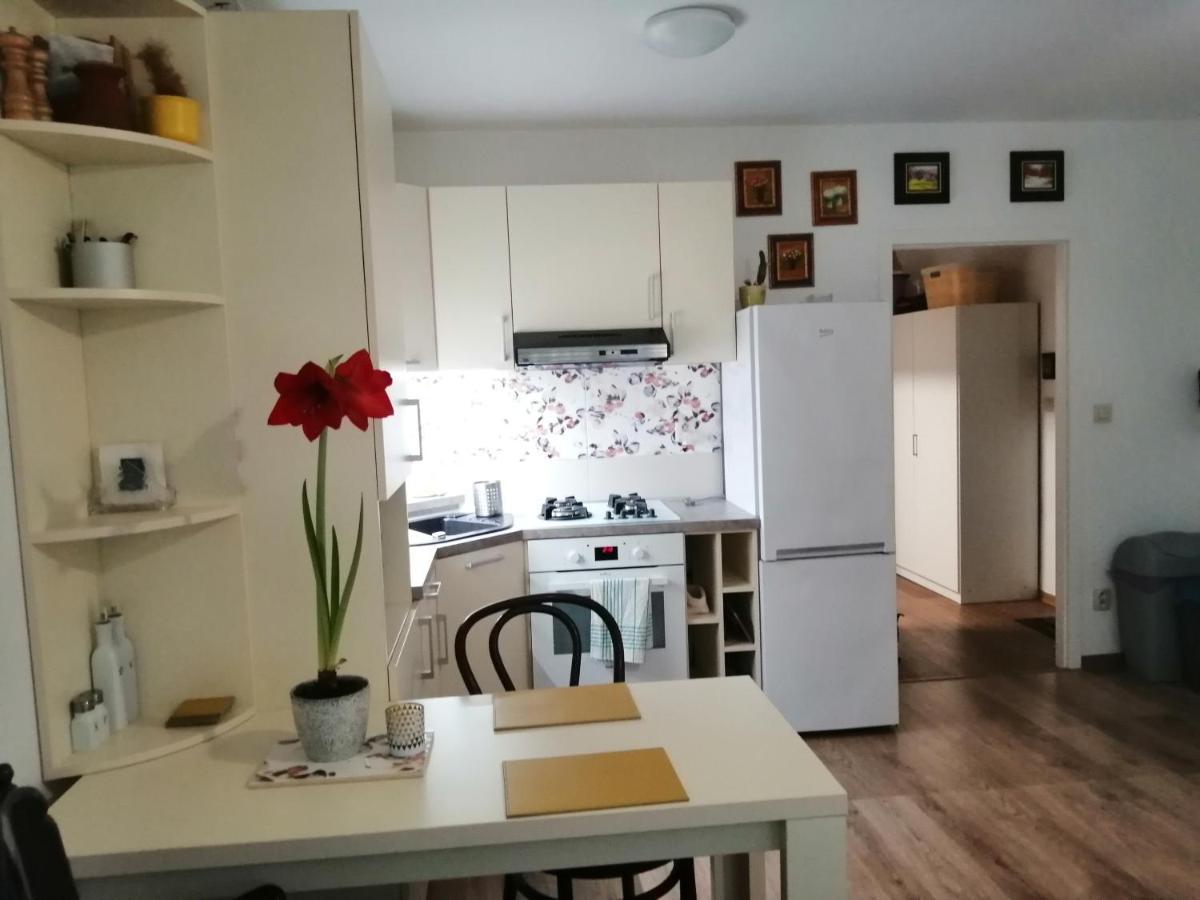 Slavik Apartment *
