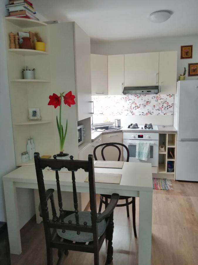 Slavik Apartment *